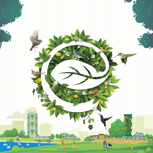 diem-tin-ecopark-blog-p