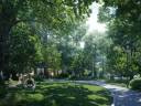 7-tang-thien-nhien-blue-forest-04